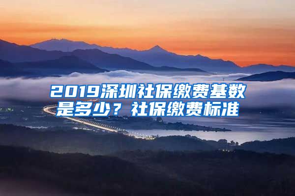 2019深圳社保缴费基数是多少？社保缴费标准