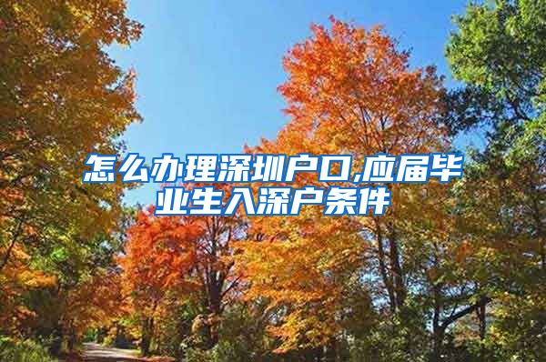 怎么办理深圳户口,应届毕业生入深户条件