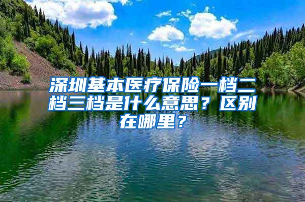 深圳基本医疗保险一档二档三档是什么意思？区别在哪里？