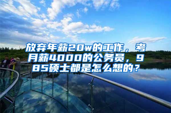 放弃年薪20w的工作，考月薪4000的公务员，985硕士都是怎么想的？