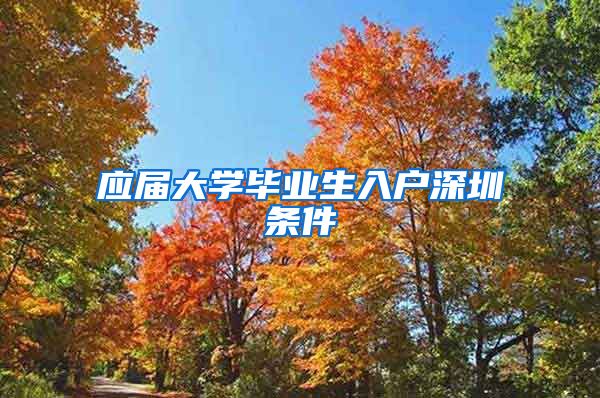 应届大学毕业生入户深圳条件