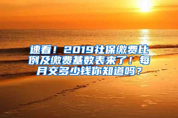 速看！2019社保缴费比例及缴费基数表来了！每月交多少钱你知道吗？