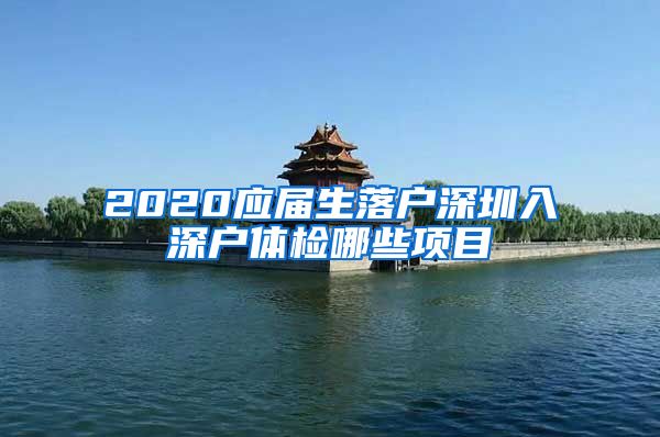 2020应届生落户深圳入深户体检哪些项目