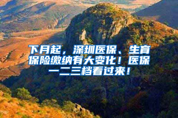 下月起，深圳医保、生育保险缴纳有大变化！医保一二三档看过来！