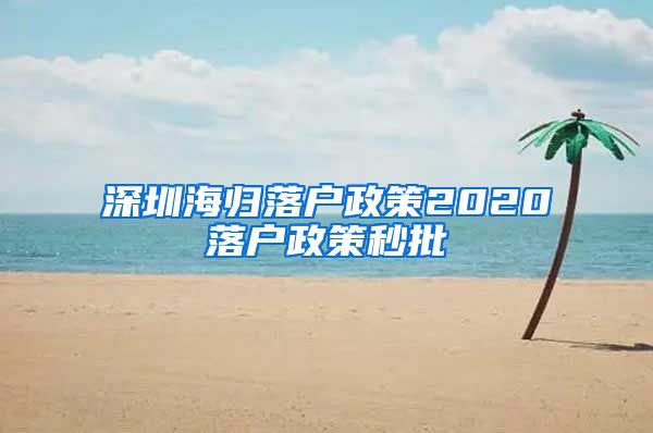 深圳海归落户政策2020落户政策秒批