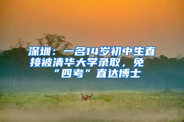 深圳：一名14岁初中生直接被清华大学录取，免“四考”直达博士