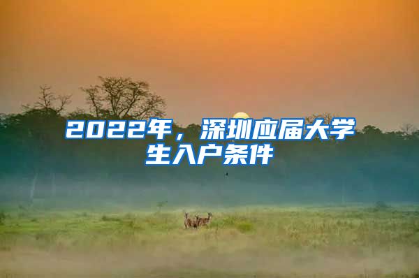 2022年，深圳应届大学生入户条件