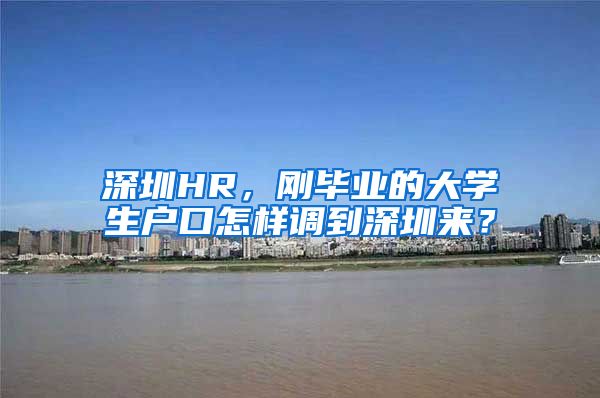 深圳HR，刚毕业的大学生户口怎样调到深圳来？