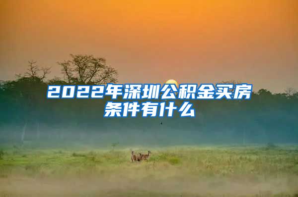 2022年深圳公积金买房条件有什么