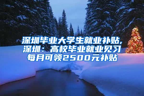 深圳毕业大学生就业补贴,深圳：高校毕业就业见习每月可领2500元补贴