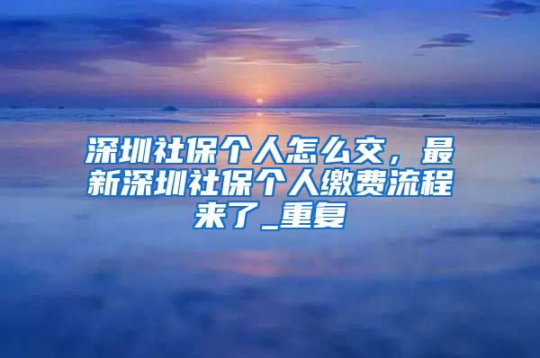 深圳社保个人怎么交，最新深圳社保个人缴费流程来了_重复