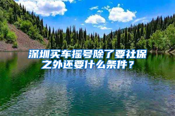 深圳买车摇号除了要社保之外还要什么条件？