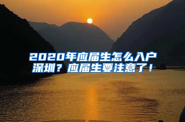 2020年应届生怎么入户深圳？应届生要注意了！