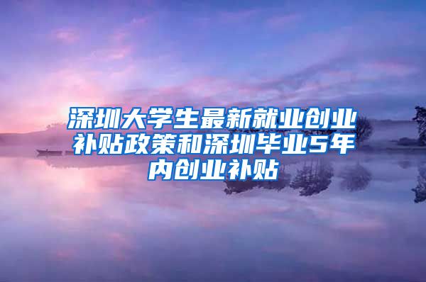 深圳大学生最新就业创业补贴政策和深圳毕业5年内创业补贴