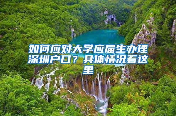 如何应对大学应届生办理深圳户口？具体情况看这里