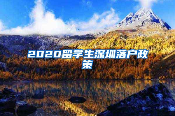 2020留学生深圳落户政策