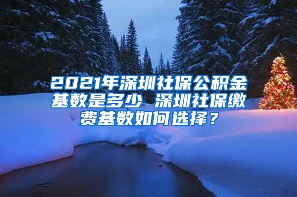 2021年深圳社保公积金基数是多少 深圳社保缴费基数如何选择？