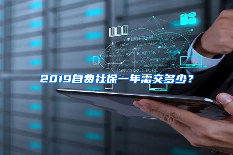 2019自费社保一年需交多少？