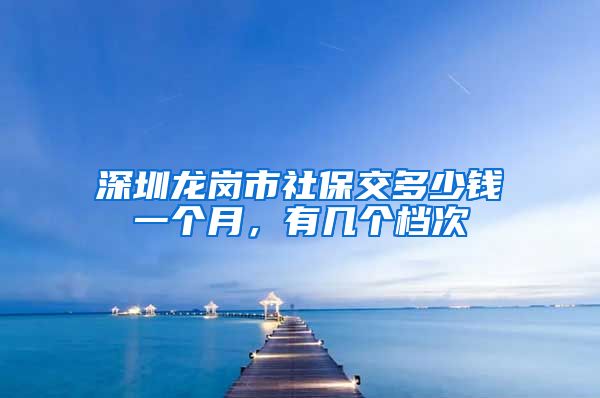 深圳龙岗市社保交多少钱一个月，有几个档次