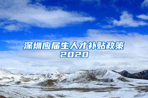 深圳应届生人才补贴政策2020