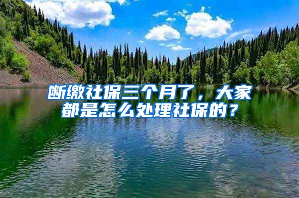 断缴社保三个月了，大家都是怎么处理社保的？