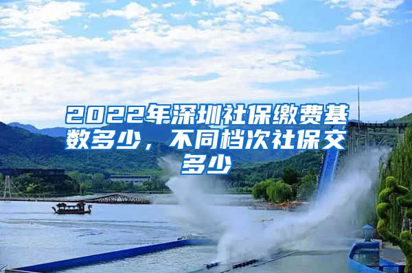 2022年深圳社保缴费基数多少，不同档次社保交多少