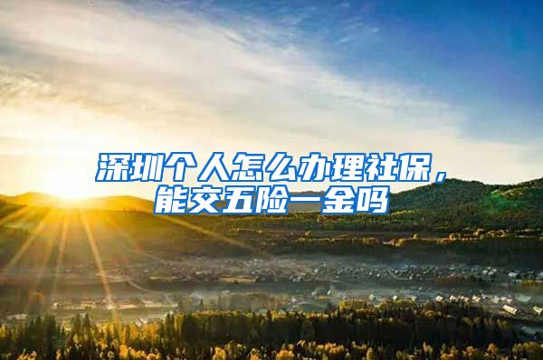 深圳个人怎么办理社保，能交五险一金吗