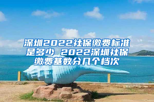 深圳2022社保缴费标准是多少 2022深圳社保缴费基数分几个档次