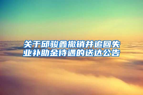 关于邱骏鑫撤销并追回失业补助金待遇的送达公告