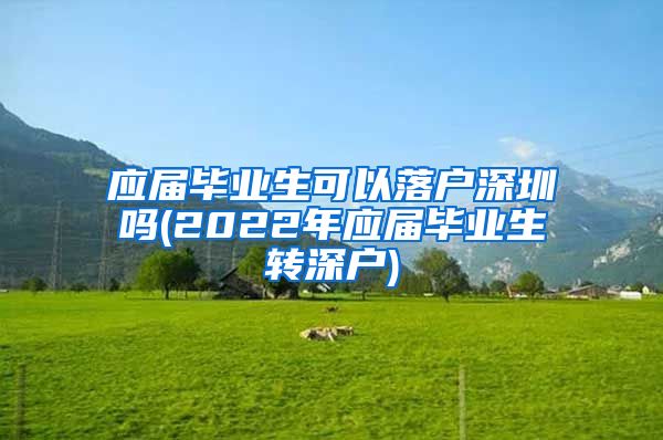 应届毕业生可以落户深圳吗(2022年应届毕业生转深户)