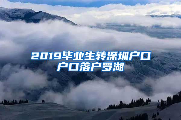 2019毕业生转深圳户口户口落户罗湖