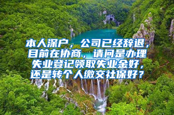 本人深户，公司已经辞退，目前在协商，请问是办理失业登记领取失业金好，还是转个人缴交社保好？