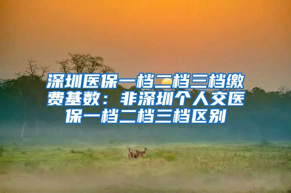 深圳医保一档二档三档缴费基数：非深圳个人交医保一档二档三档区别