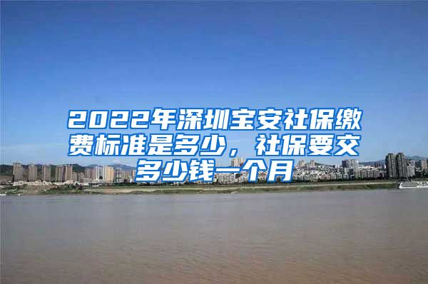 2022年深圳宝安社保缴费标准是多少，社保要交多少钱一个月