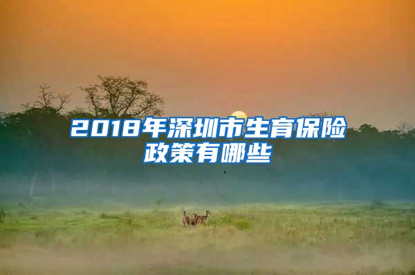 2018年深圳市生育保险政策有哪些