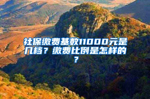 社保缴费基数11000元是几档？缴费比例是怎样的？