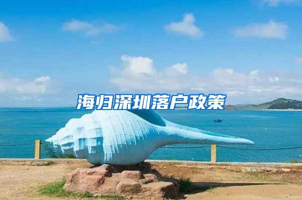 海归深圳落户政策