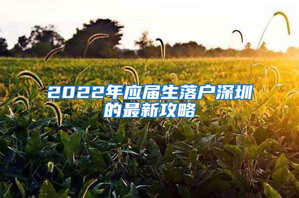 2022年应届生落户深圳的最新攻略