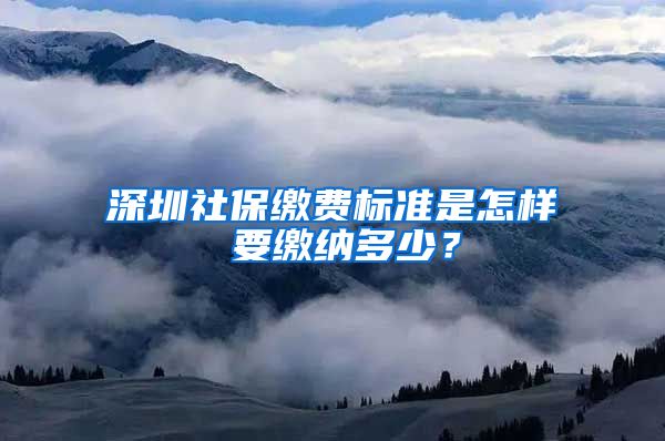 深圳社保缴费标准是怎样 要缴纳多少？