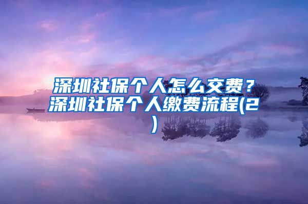 深圳社保个人怎么交费？深圳社保个人缴费流程(2)