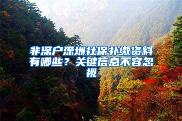 非深户深圳社保补缴资料有哪些？关键信息不容忽视