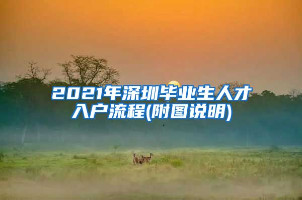 2021年深圳毕业生人才入户流程(附图说明)