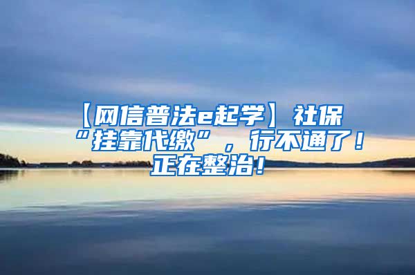 【网信普法e起学】社保“挂靠代缴”，行不通了！正在整治！