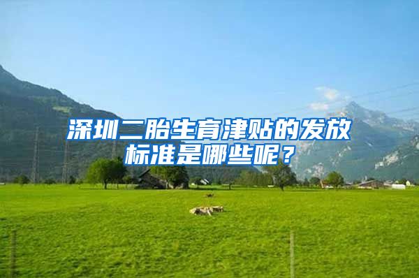 深圳二胎生育津贴的发放标准是哪些呢？