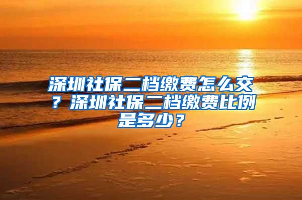 深圳社保二档缴费怎么交？深圳社保二档缴费比例是多少？