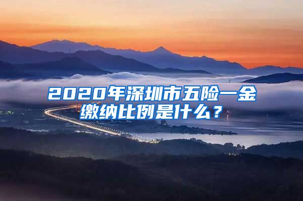 2020年深圳市五险一金缴纳比例是什么？