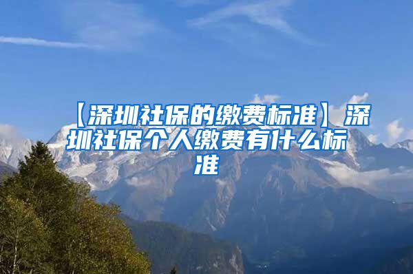 【深圳社保的缴费标准】深圳社保个人缴费有什么标准