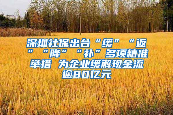 深圳社保出台“缓”“返”“降”“补”多项精准举措 为企业缓解现金流逾80亿元