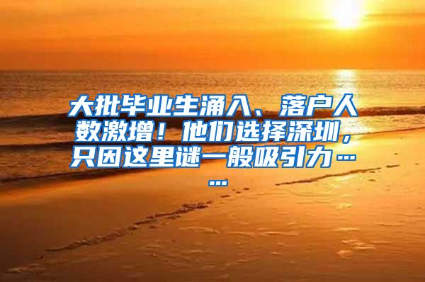 大批毕业生涌入、落户人数激增！他们选择深圳，只因这里谜一般吸引力……