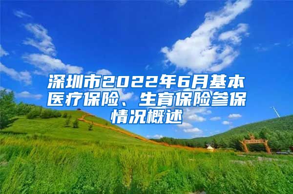 深圳市2022年6月基本医疗保险、生育保险参保情况概述